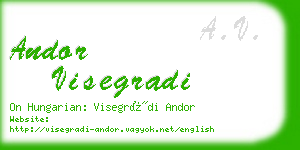 andor visegradi business card